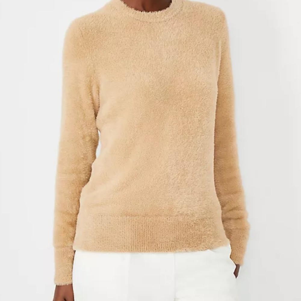 Ann Taylor Fuzzy CrewNeck Sweater
